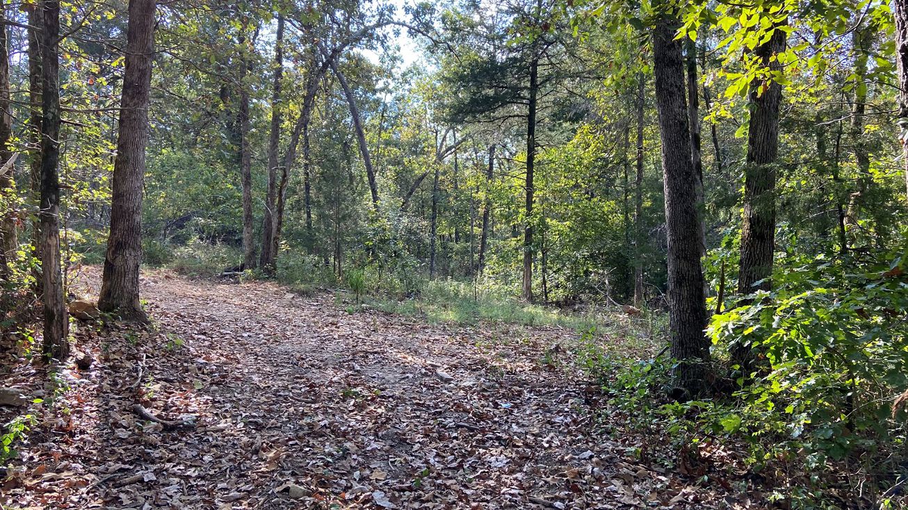 Bruce Mitchell Rd, Ravenden Springs, AR 72460 Land for Sale Bruce
