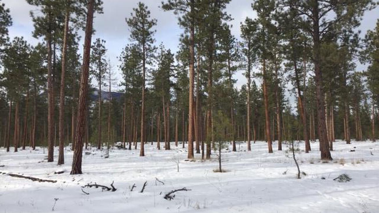 Nhn Holloway Lane, Florence, MT 59833