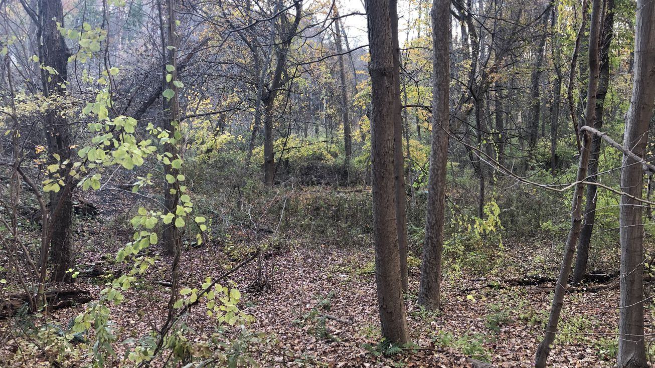 98 Pollock Rd, Latham, NY 12110