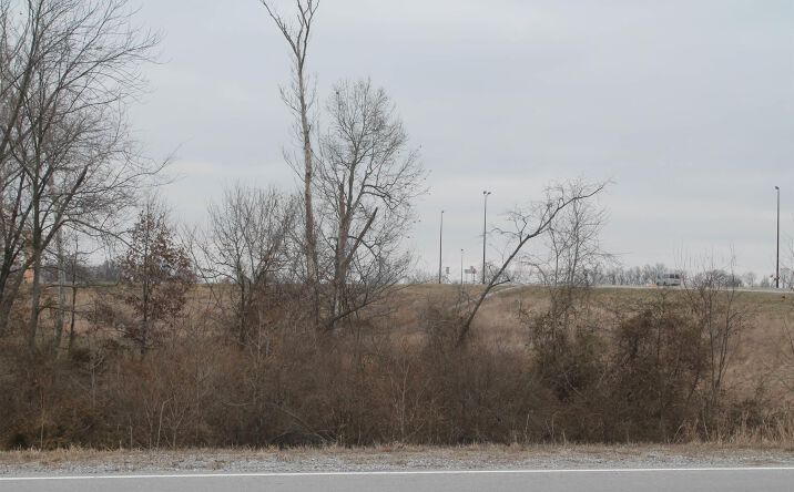 Pictures of Land property located at 6 DONNA Drive, Crainville, IL 62918 for sales - image #1