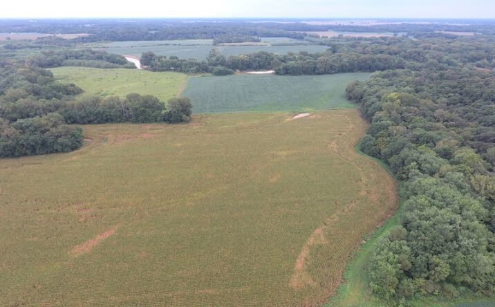 Pictures of Land property located at 6200 E 1600th Ave, Newton, IL 62448 for sales - image #1