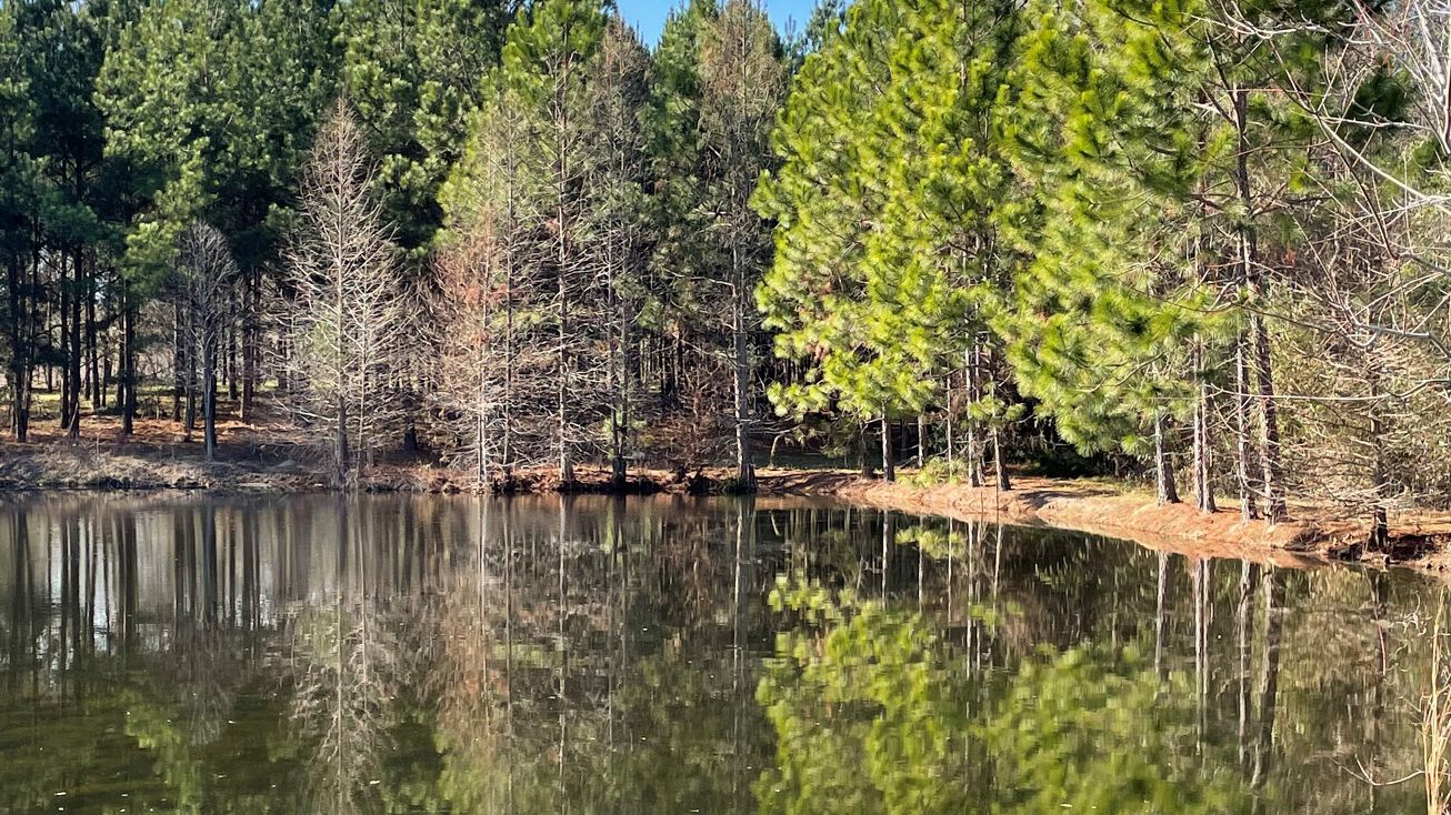 0 Bay Gall Branch, Millen, GA 30442