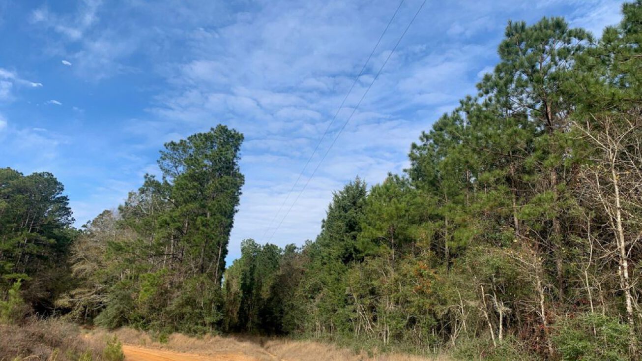 Creel Rd and Nursery Rd, Indian Springs, TX 77351