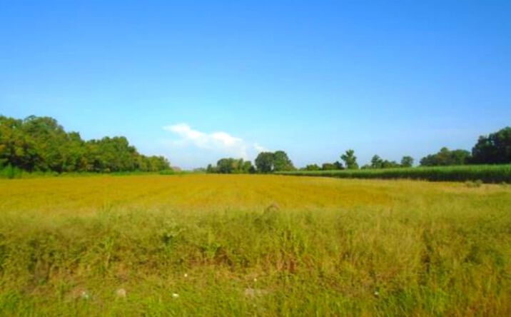 Pictures of Land property located at Tract B Highway 190, Port Allen, LA 70767 for sales - image #1