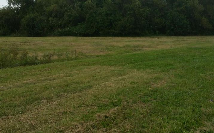 Pictures of Land property located at Lot 7 EDNA Court, Carbondale, IL 62901 for sales - image #1