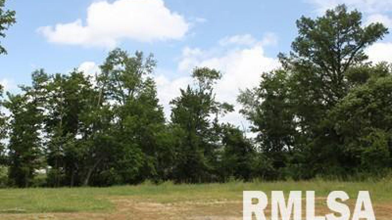 1414 E WALNUT Street, Carbondale, IL 62902 Land for Sale 1414 E