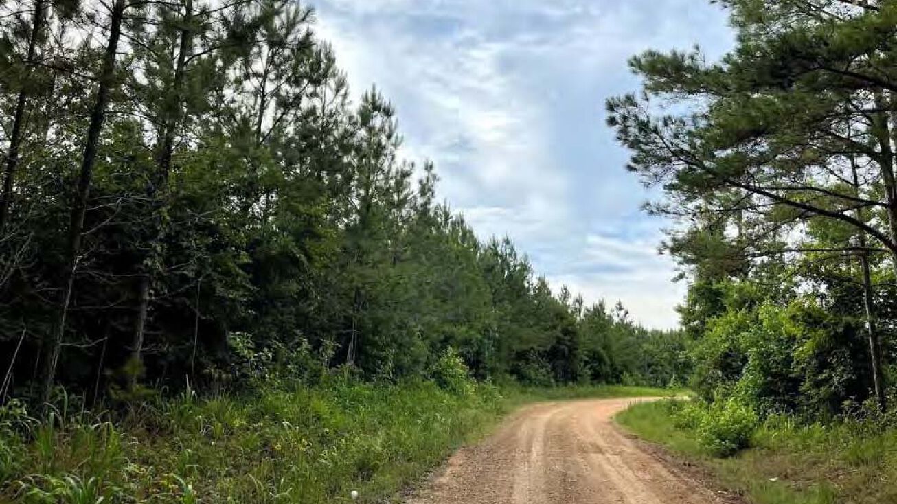 Ellington Rd, Durant, MS 39063 Land for Sale Recreational & Timber