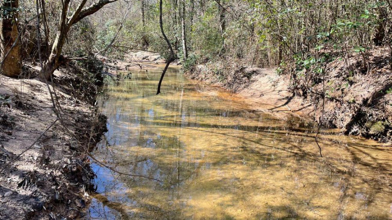 Hwy 28, Pinola, MS 39149 Land for Sale Hwy 28 Hunting & Timber