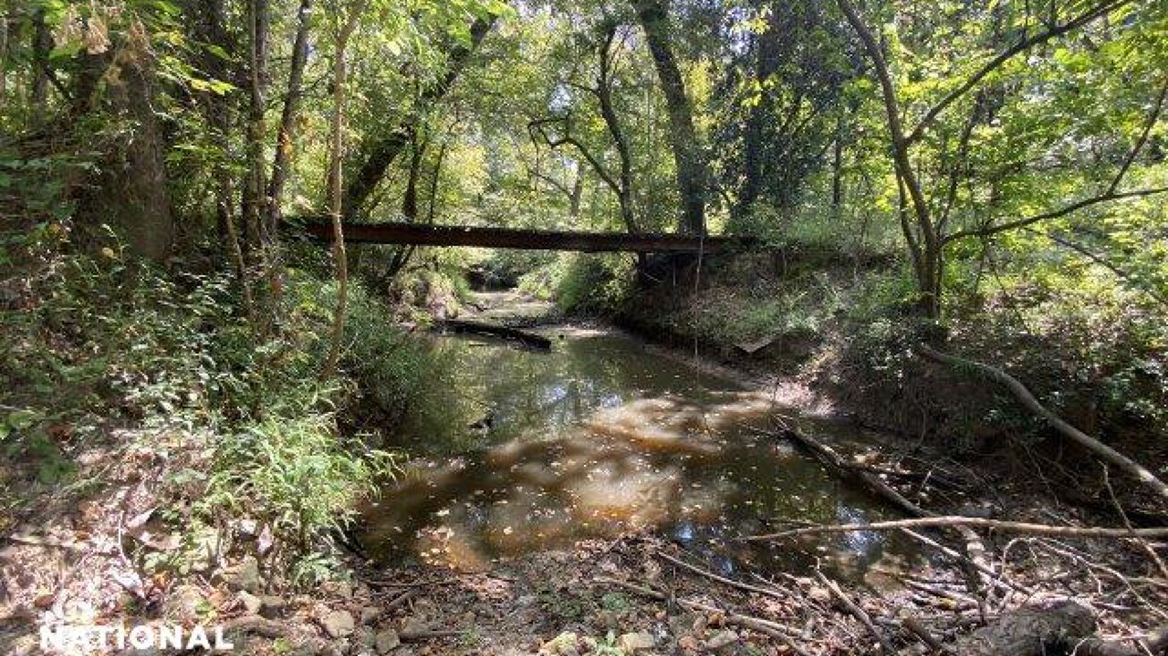 0 Coon Hop Road, Hardaway, AL 36039