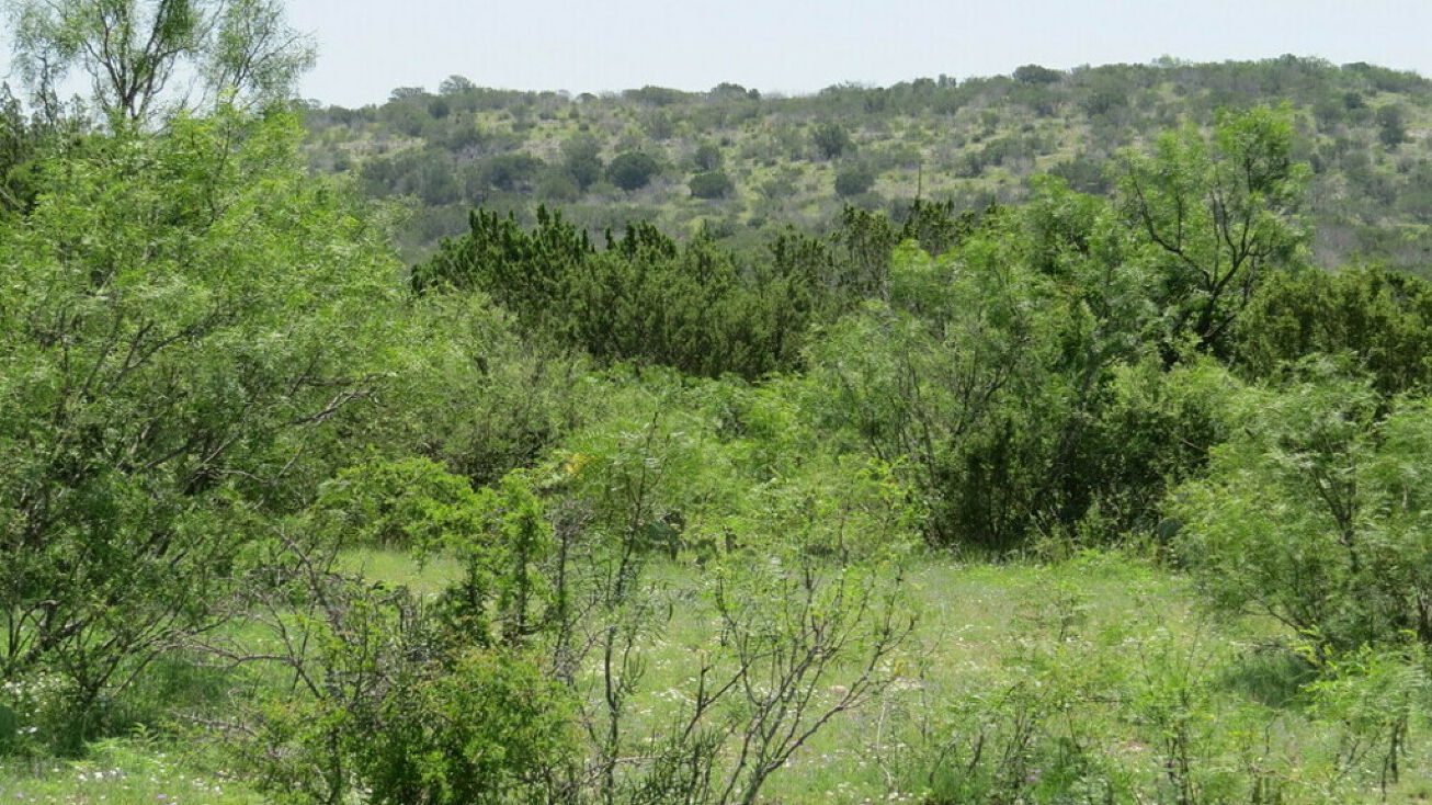 Dolan Creek Rd, Del Rio, TX 78840 Land for Sale Dolan Creek Ranch West