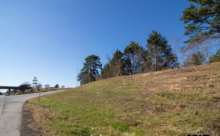 Pictures of Land property located at TBD E I20, Winona, TX 75792 for sales - image #1