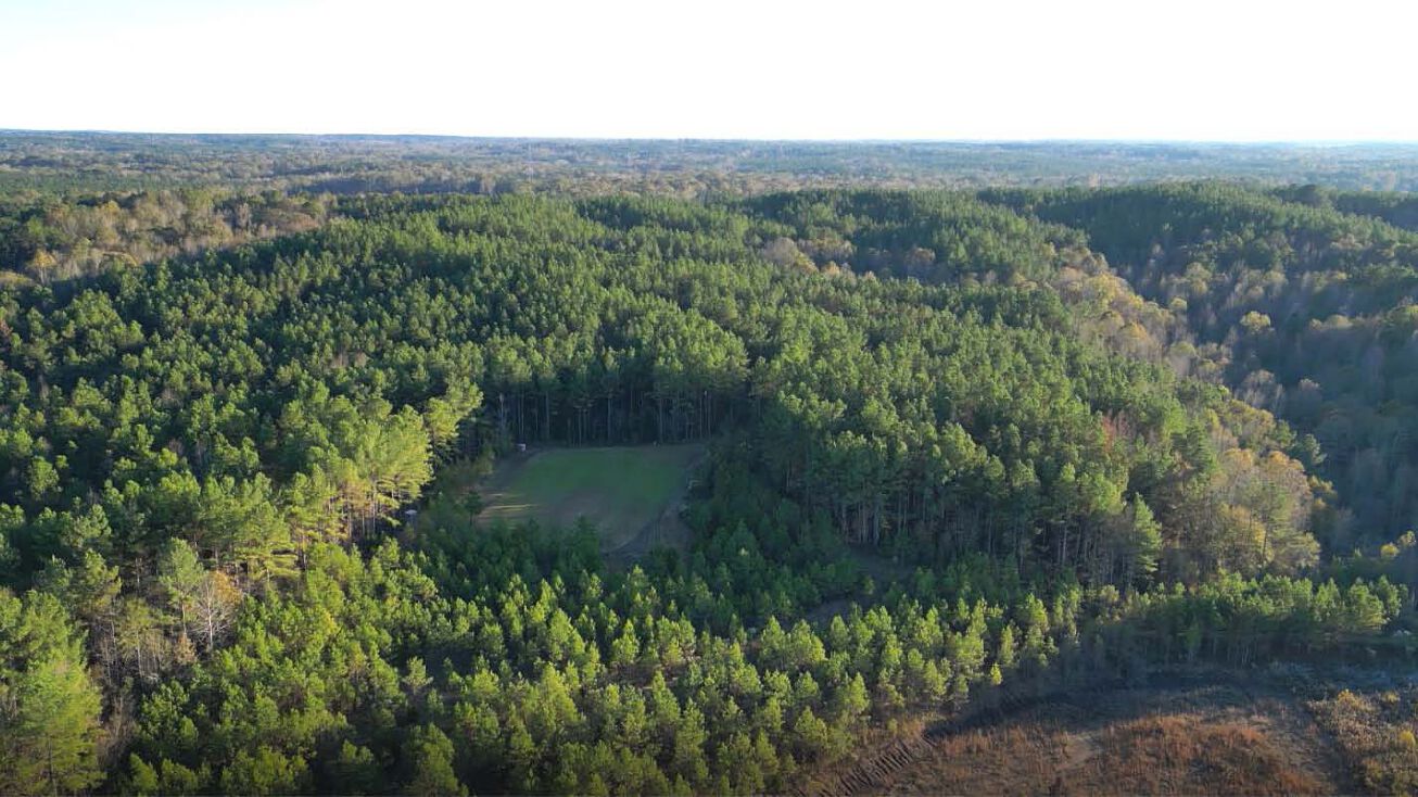 187 Acres in Holmes, Lexington, MS 39095