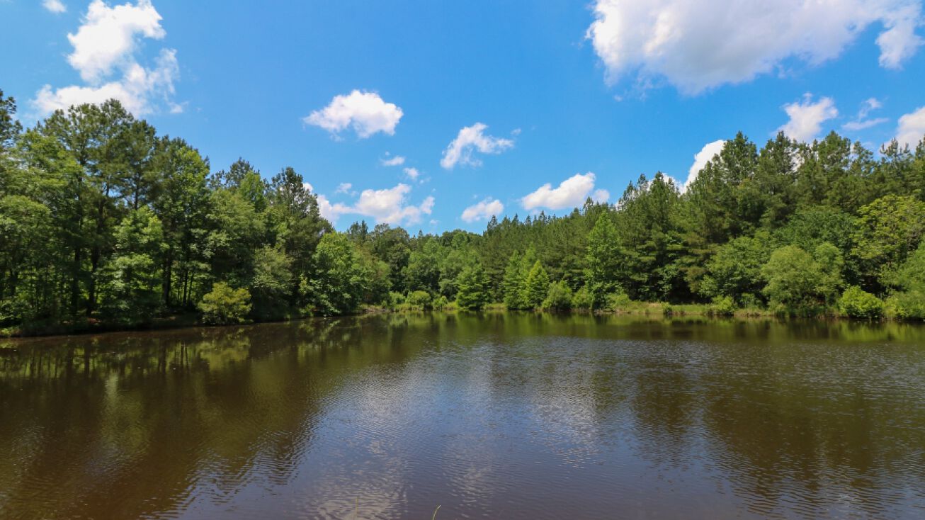 4908 Co Rd 8, Vossburg, MS 39366