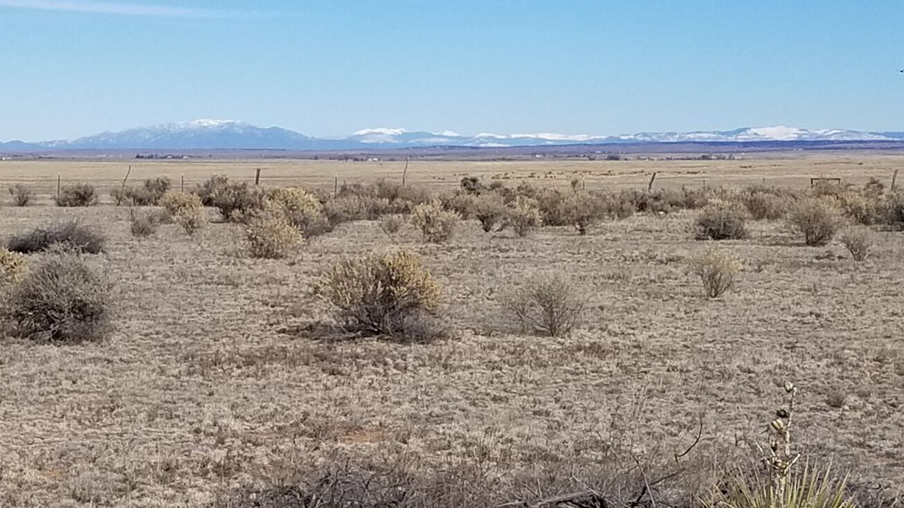 42 Shiloh Road, Moriarty, NM 87035