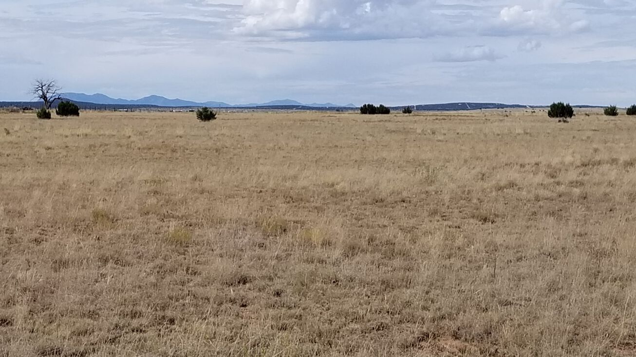 40 Giraudo Rd, Estancia, NM 87016