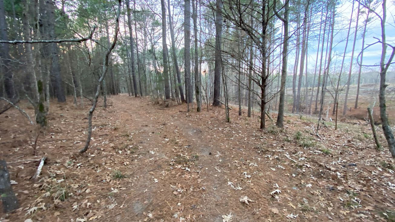 TBD FM 450, Hallsville, TX 75650