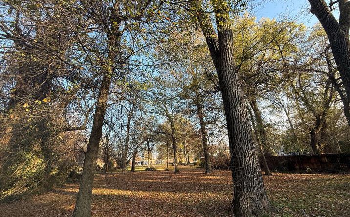 Pictures of Land property located at 501 College Ave, Kennett, MO 63857 for sales - image #1