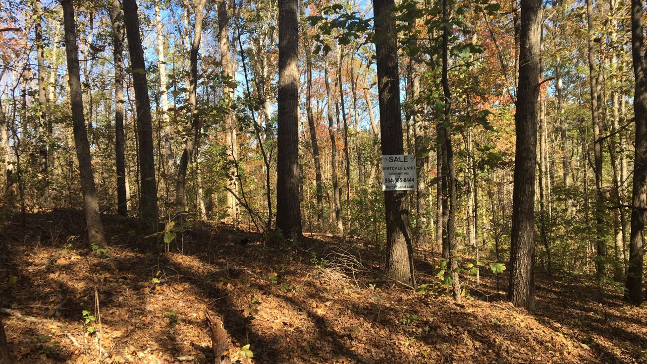 Hiawatha Trail, Westminster, SC 29693 Land for Sale Wooded