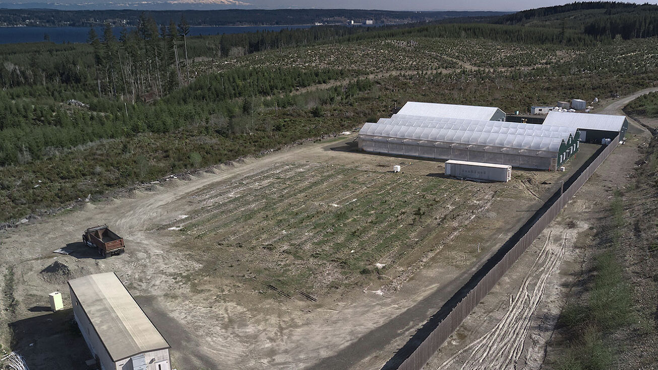 4429 Coyle Rd, Quilcene, WA 98376