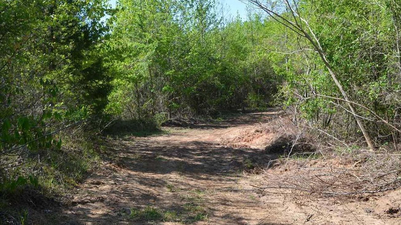 365 Acres In Autauga, West Prattville, AL 36067 Land for Sale 365