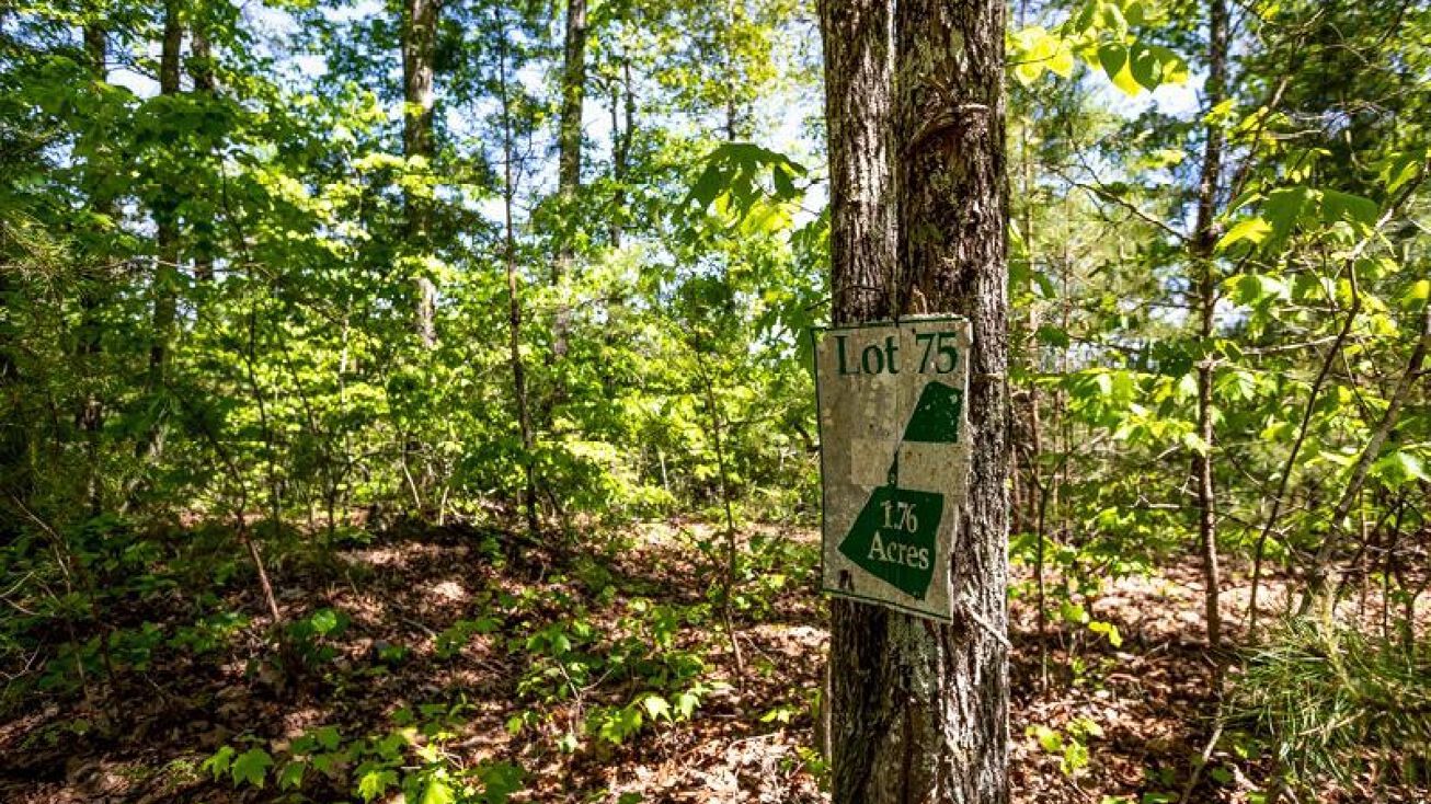 LT 75 Bluffs Of Cartecay, Ellijay, GA 30540