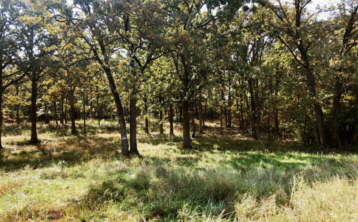 Pictures of Land property located at 10240 Co Rd 3060, Rolla, MO 65401 for sales - image #1