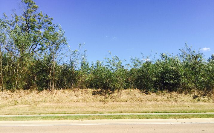 Pictures of Land property located at 409 Towne Center Blvd, Ridgeland, MS 39157 for sales - image #1