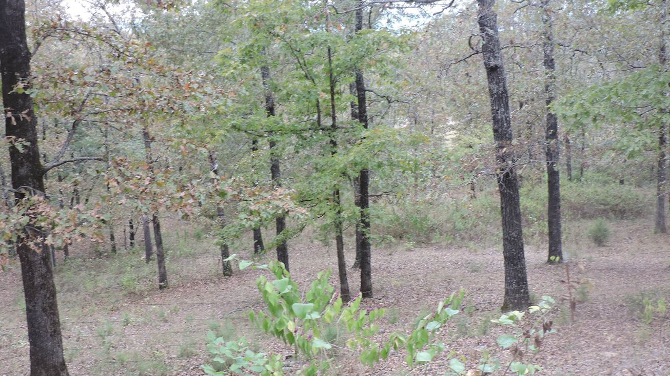 28538 Little Texas Rd, Bluffton, AR 72827