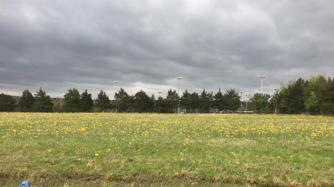 Park Avenue, Waldron, AR 72958