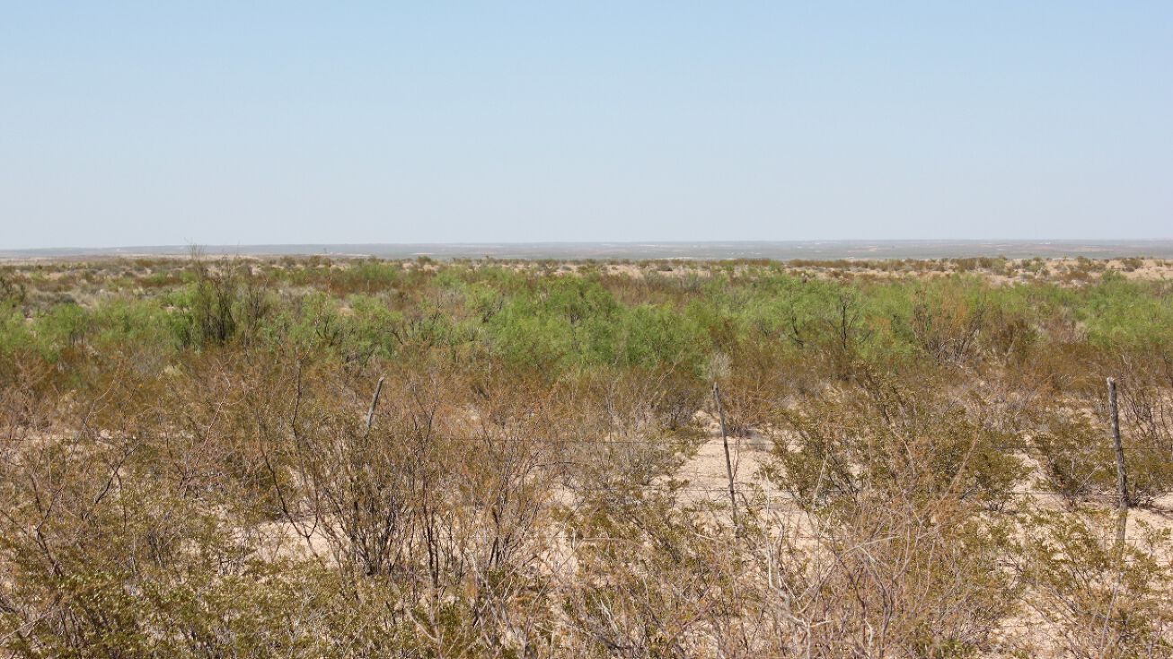 County Rd 449, Orla, TX 79770 Land for Sale 310 Acres CR 449 Orla, Texas
