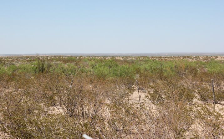 County Rd 449, Orla, TX 79770 Land for Sale 310 Acres CR 449 Orla