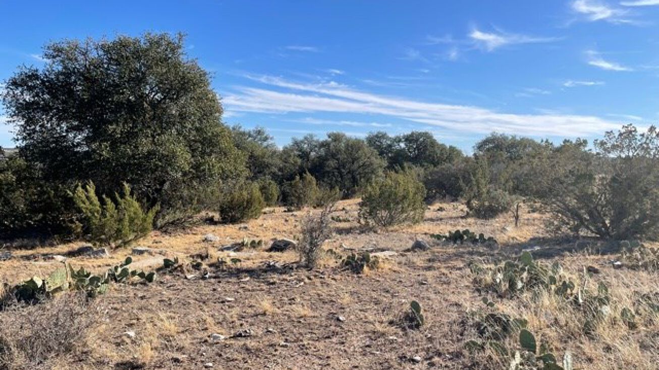 TBD HWY 67, Mertzon, TX 76941