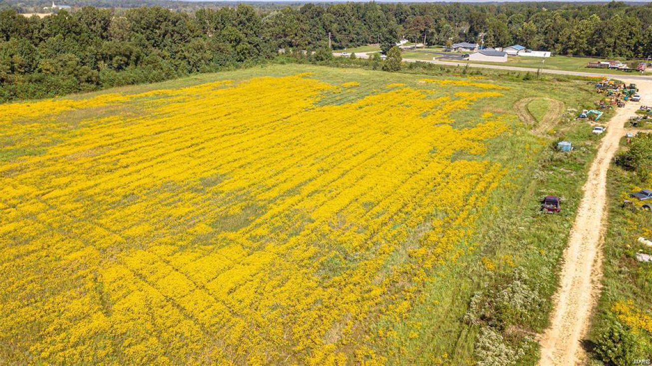 0 S Hwy 60 E, Poplar Bluff, MO 63901