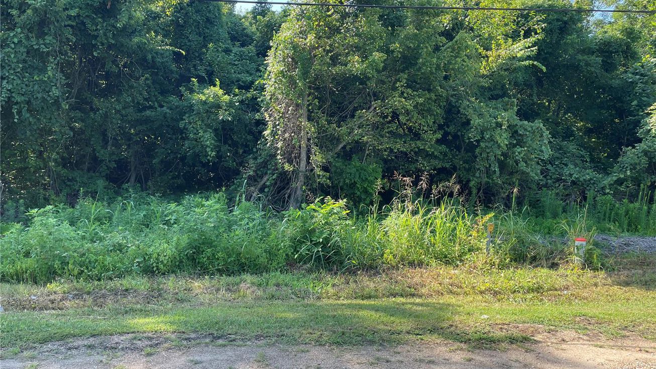 0 Highway 60 E of Palmer Slough, Poplar Bluff, MO 63901