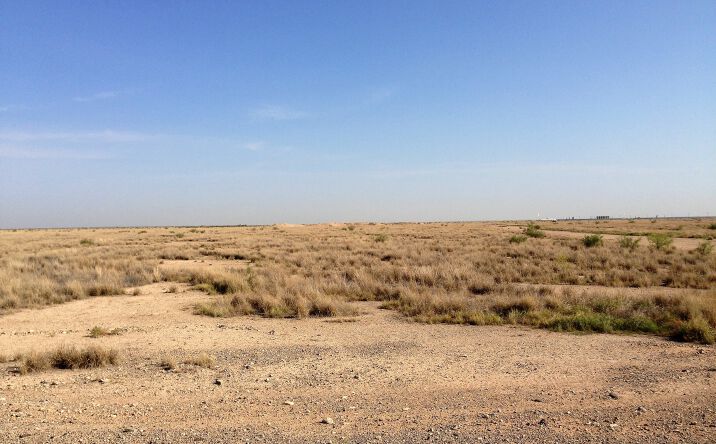 Pictures of Land property located at TBD CR 124 Pecos, TX 79772, Pecos, TX 79772 for sales - image #1