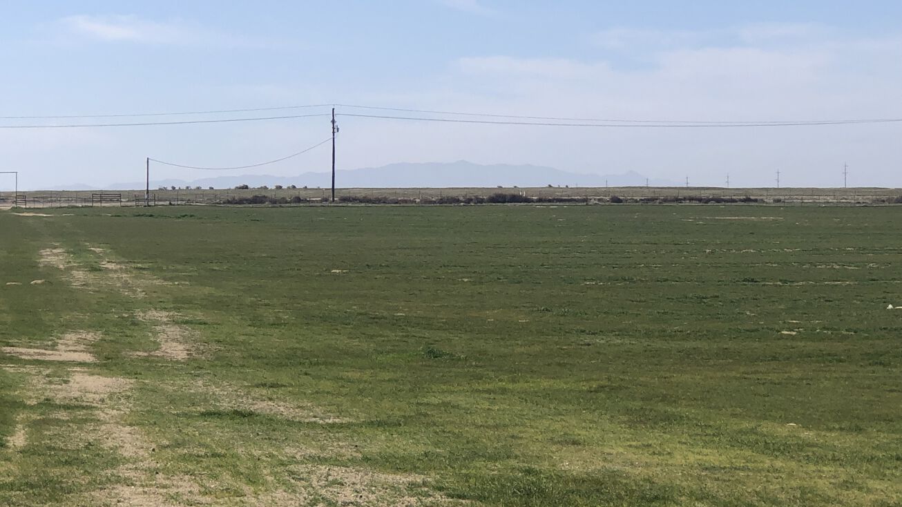 21961 W Jayne Ave, Coalinga, CA 93210