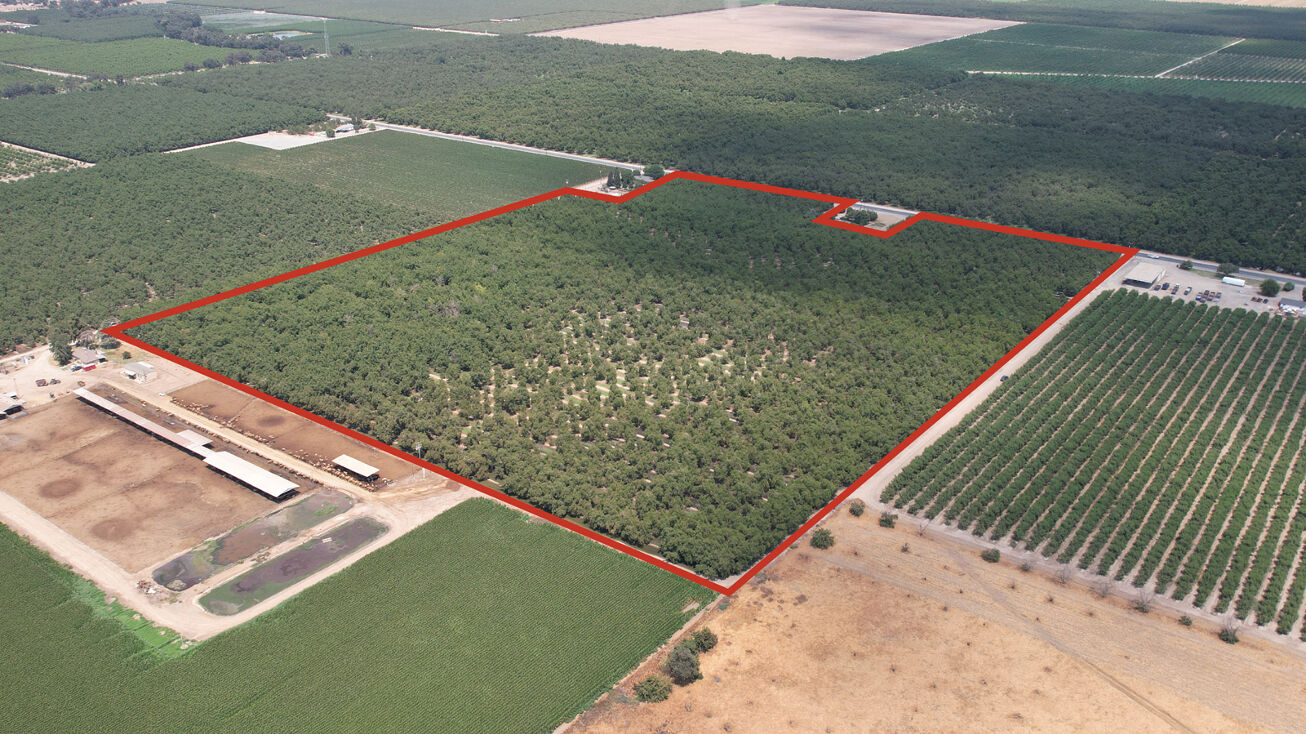 Farmersville Rd, Visalia, CA 93292 Land for Sale Visalia Area Walnuts