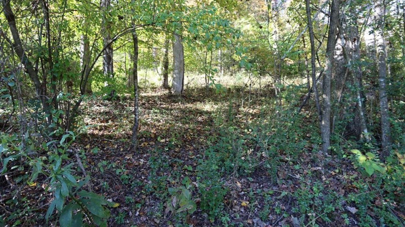 North Fork River Road, Abingdon, VA 24210 - Land for Sale - North Fork ...