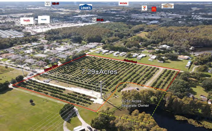 Pictures of Land property located at 21831 Carson Dr, Land O' Lakes, FL 34639 for sales - image #1