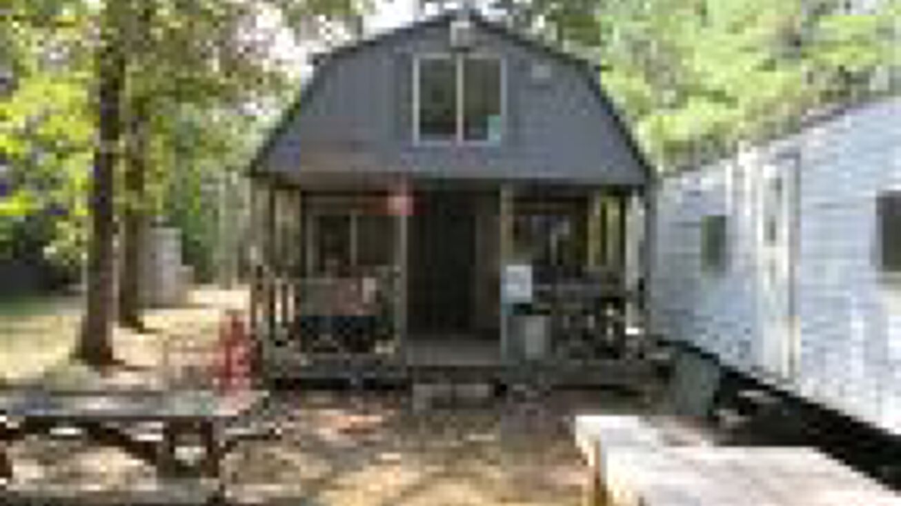 FM 2138 and Highway 84, Maydelle, TX 75785