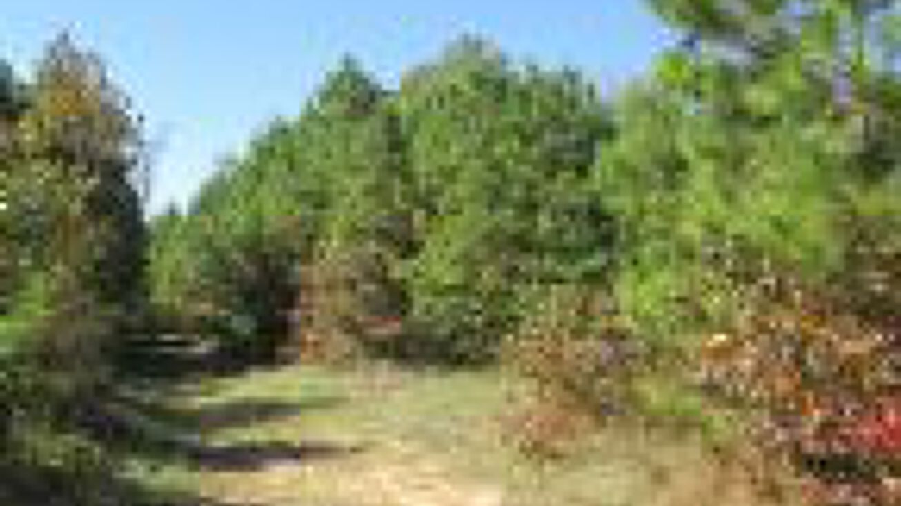 Highway 204, Reklaw, TX 75784