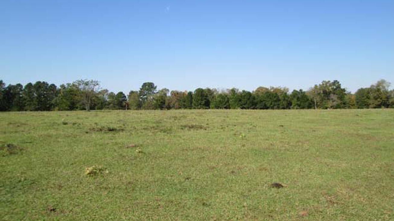 191.965+/ Acres, Cushing, TX 75760 Land for Sale 191.965+/ Acres