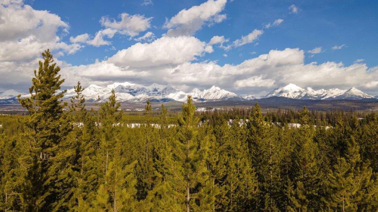 N40 North Fork Road, Polebridge, MT 59928 Land for Sale N40 North