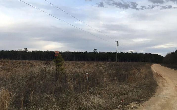 Pictures of Land property located at 00 County Road 194, Mount Pleasant, AR 71658 for sales - image #1