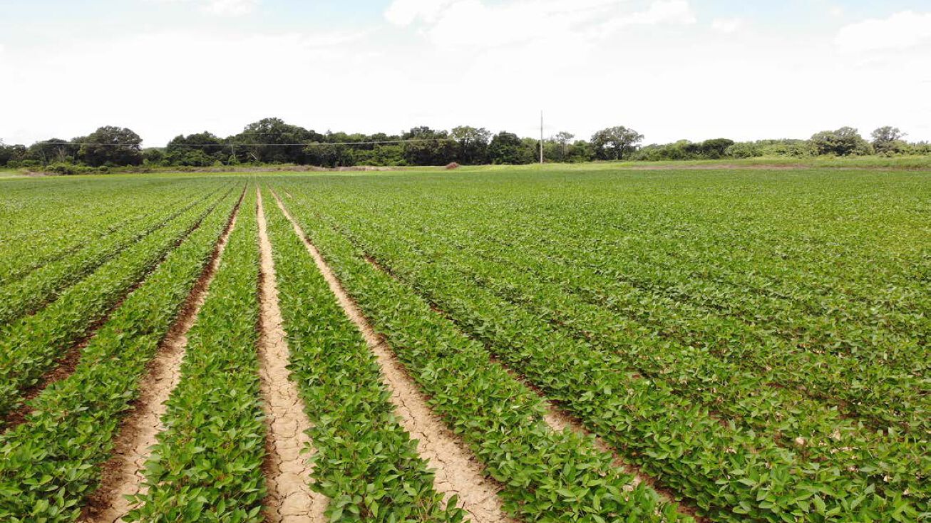 Ball Rd, Eudora, AR 71640