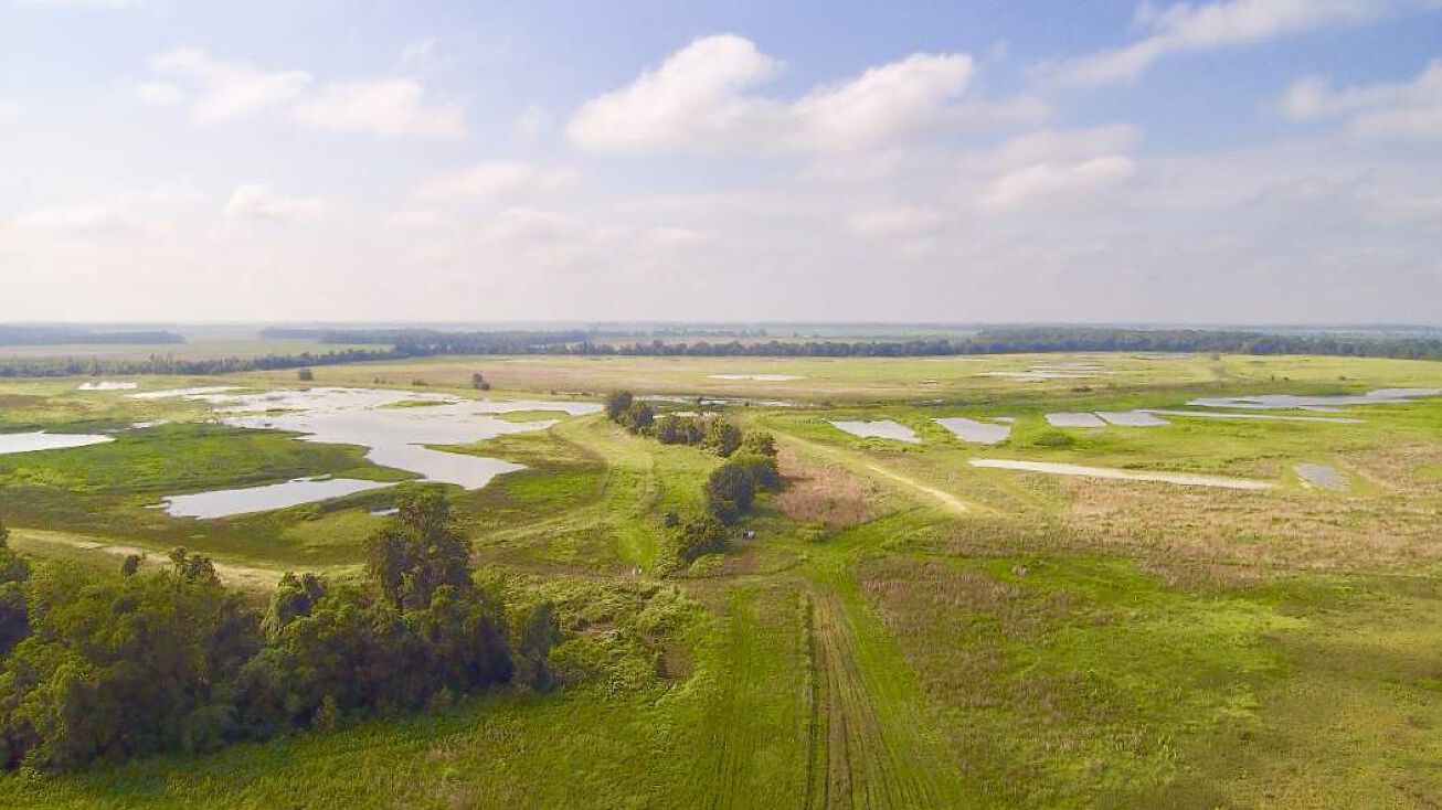 Little River Farms, Lepanto, AR 72354