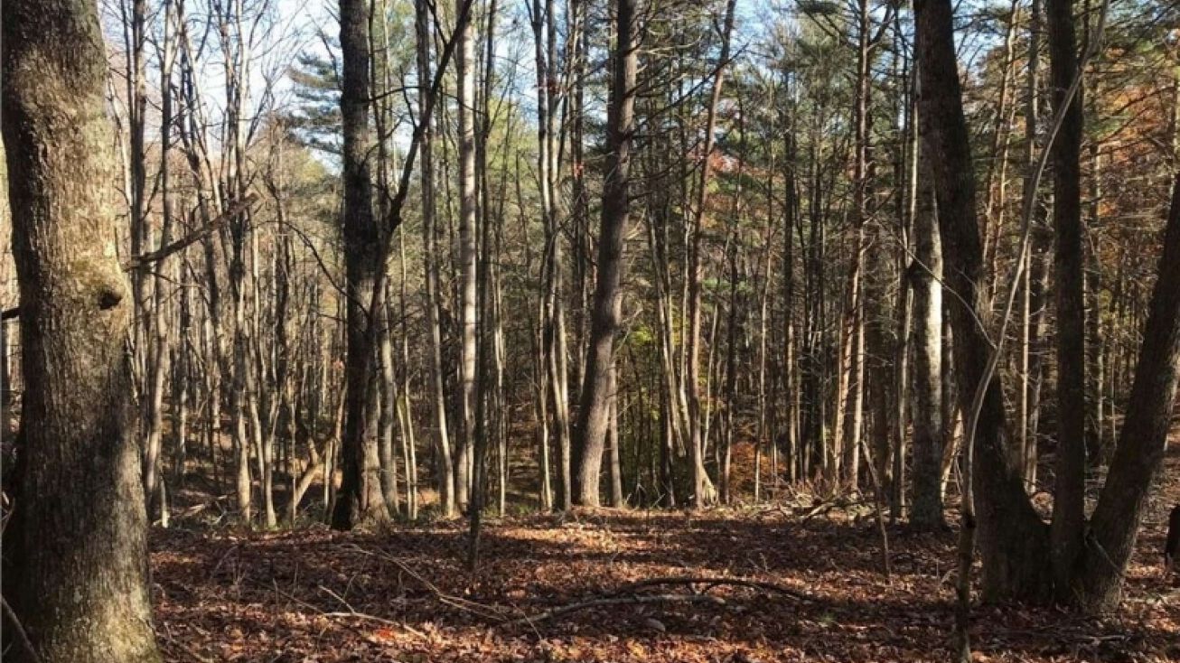 139 Vail Rd, Knowlton Township, NJ 07832