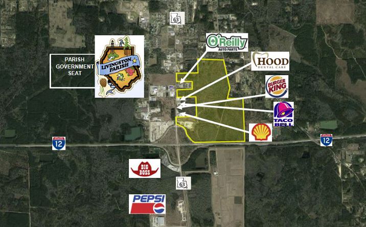 Pictures of Land property located at Highway 63, Livingston, LA 70754 for sales - image #1
