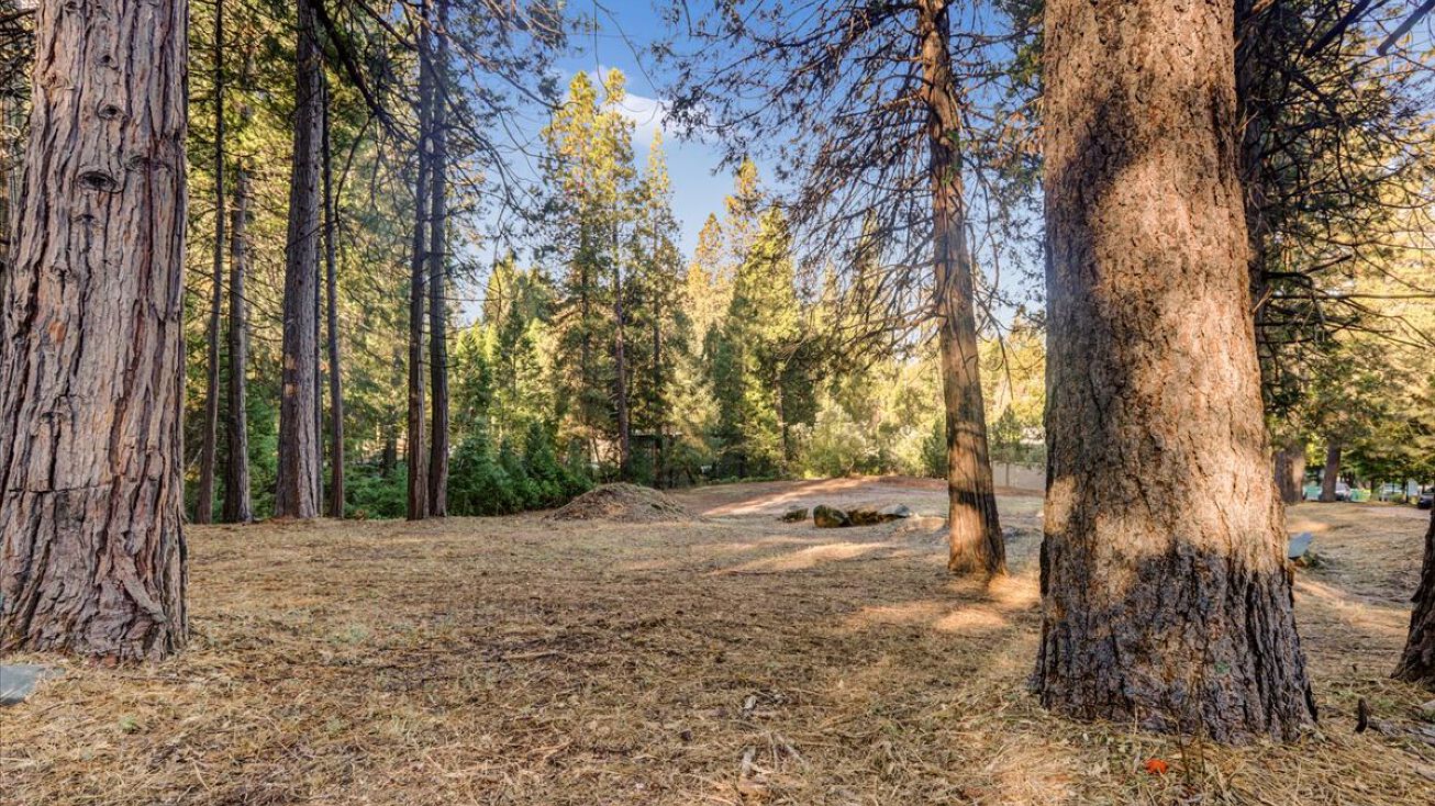 107 New Mohawk Rd, Nevada City, CA 95959
