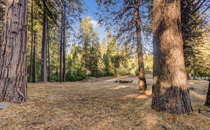 Pictures of Land property located at 107 New Mohawk Rd, Nevada City, CA 95959 for sales - image #1